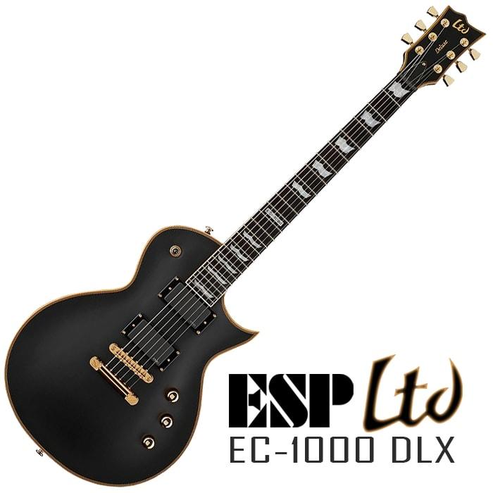 ESP LTD EC1000 Guitar in Vintage Black