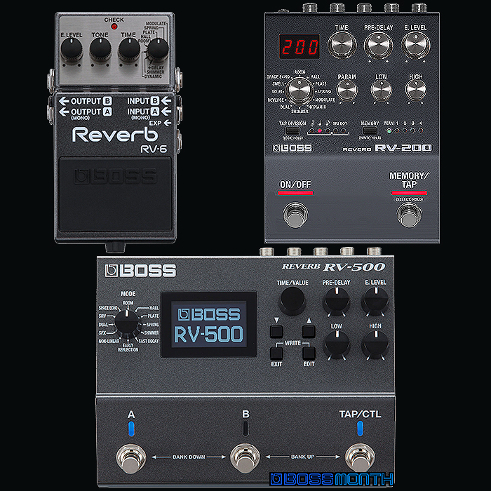 Guitar Pedal X - News - When will we finally get the Boss RV-200