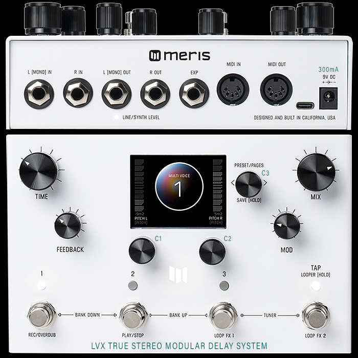 humor Het is goedkoop contact Guitar Pedal X - GPX Blog - The Meris LVX True Stereo Modular Delay System  issues major challenge to all Delay Workstations!