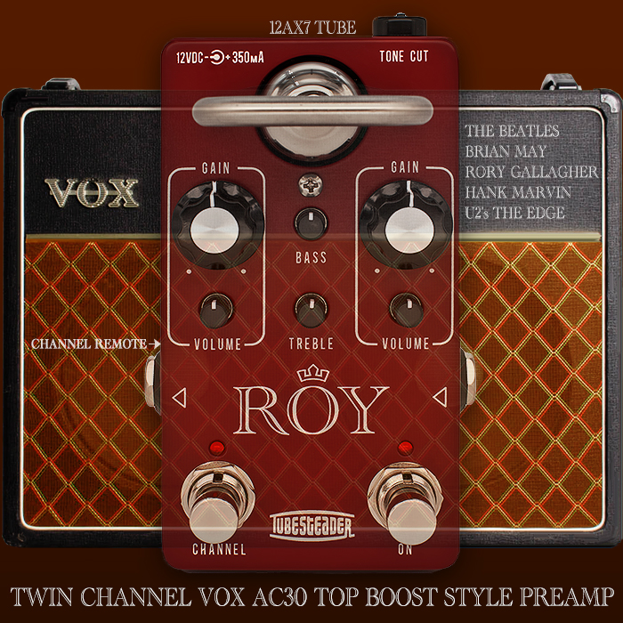 Tubesteader delivers the ultimate Vox-in-a-box with its superb Tube-Driven ROY Twin Channel Vox AC30 Top Boost style Preamp