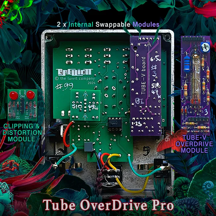 2025 GPX Brelliott TODP Insides 700